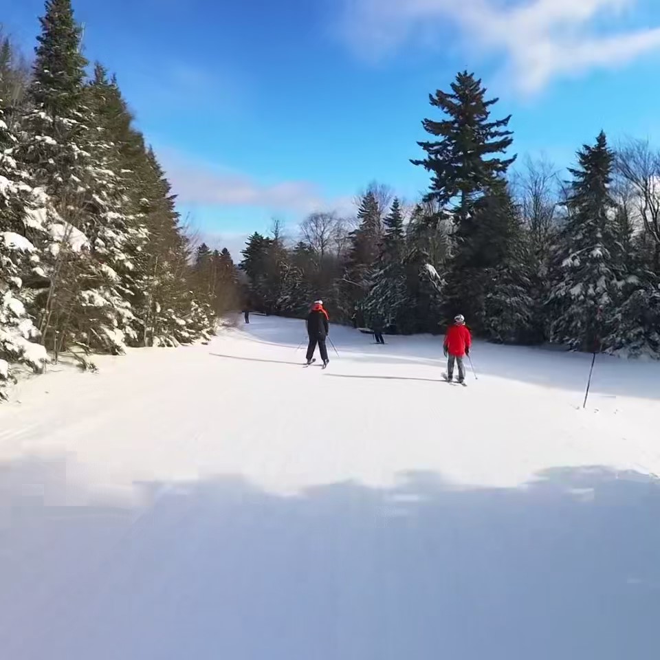 skiing